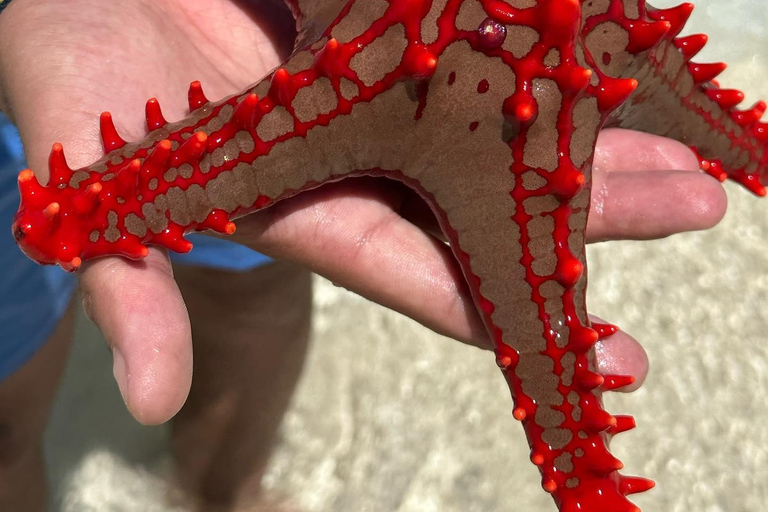 Jozaniforest, Kuza-Höhle, Blaue Lagune, Felsenrestaurant