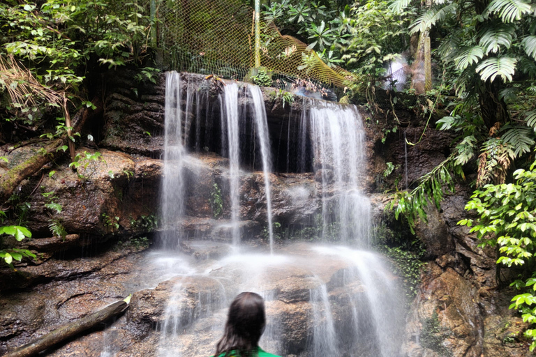 Tijuca Forest´s hike: caves, waterfalls and great views