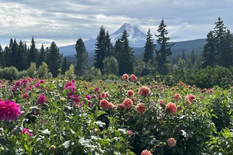 De Portland: visite d'une journée du vin et des cascadesVisite privée