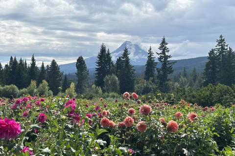 De Portland: Cachoeiras, Mt Hood e excursão de um dia com vinhoTour Privado