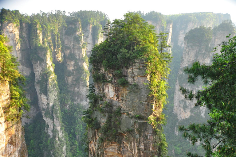 张家界国家森林公园门票和接送服务Zhangjiajie National Forest Park&amp;Transportation Combo Ticket