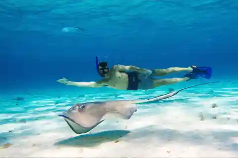 Snorkel: Explora os recifes em Cozumel, El Cielo, Palancar e mais + Almoço