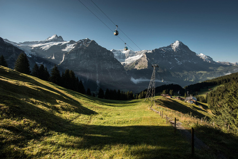 Luzern: Interlaken und Grindelwald Tagestour Schweizer Alpen