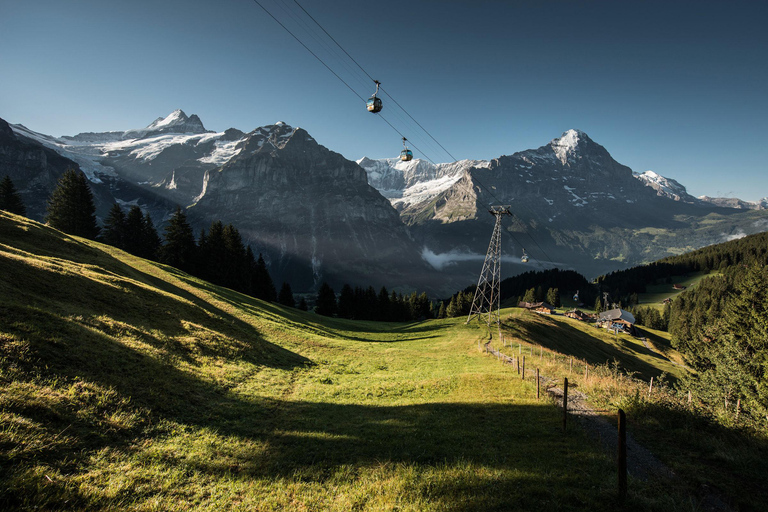 Luzern: Interlaken und Grindelwald Tagestour Schweizer Alpen
