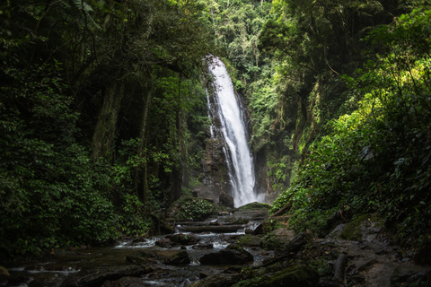 From São Paulo: Oyster Trail and My God Waterfall