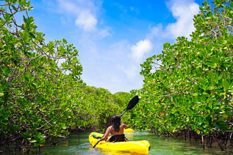Sansibar: Gewürzfarm, Stone Town &amp; Mangroven-Kajaktour