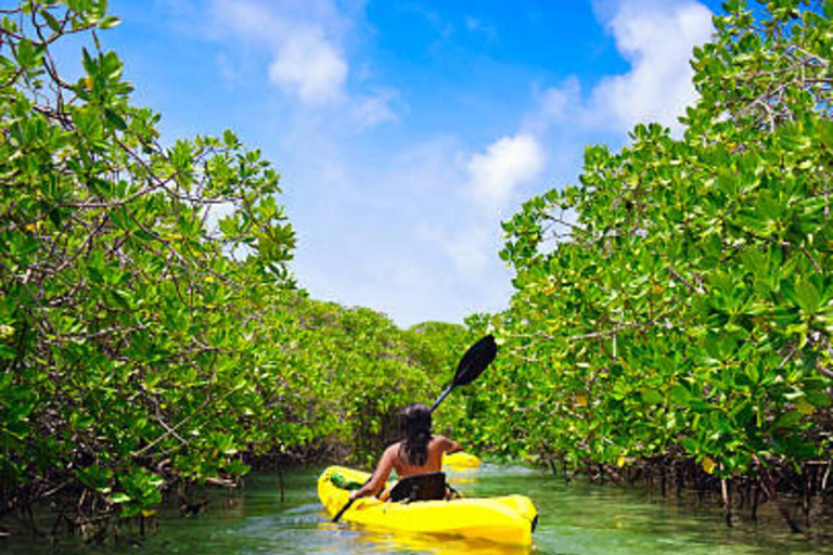Sansibar: Gewürzfarm, Stone Town &amp; Mangroven-Kajaktour