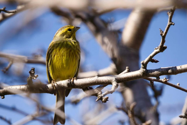 From Sofia: Wildlife Tracking & Search Science Expedition