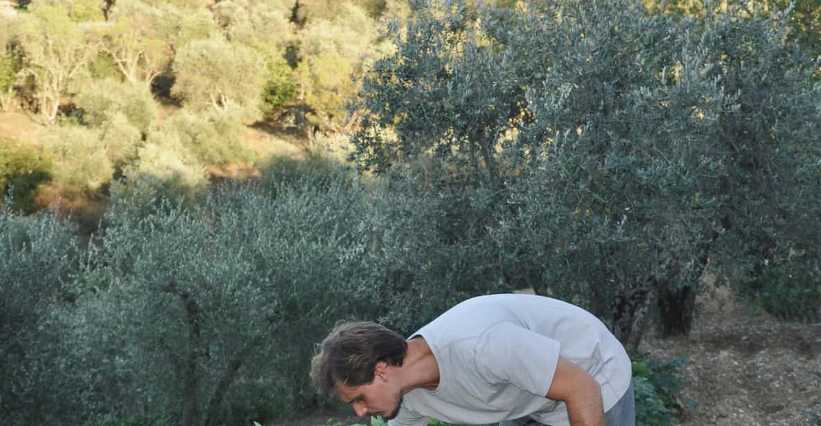 Afbeelding 6 van Chianti: biologische tuin en wijnproeverij