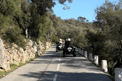 NICE BY ELECTRIC QUAD:panoramic tour from Nice with snack