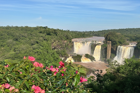 Authentic Paraguay: Monday Falls, Abastos Market, & Itaipu