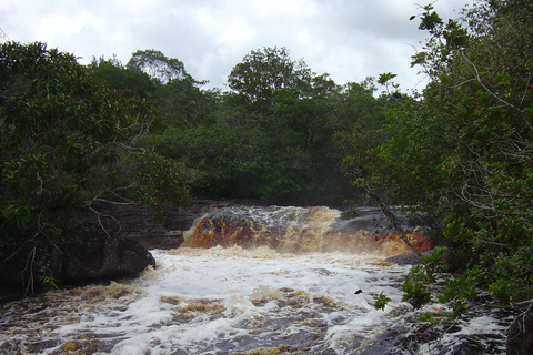 Day Tour Urubuí - Manaus (Presidente Figueiredo)