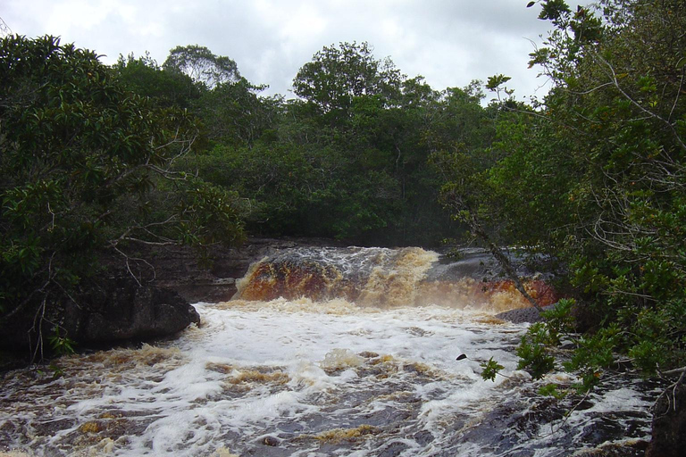 Day Tour Urubuí - Manaus (Presidente Figueiredo)
