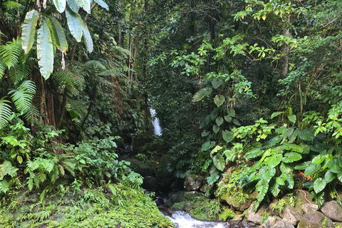 4x4 Land Rover day trip with Fanm Sosyal Kréyol in Guadeloupe Half-Day