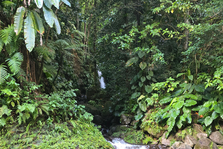 4x4 Land Rover day trip with Fanm Sosyal Kréyol in Guadeloupe Half-Day
