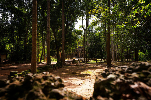 Soluppgång vid Angkor Wat och heldag med fascinerande tempel