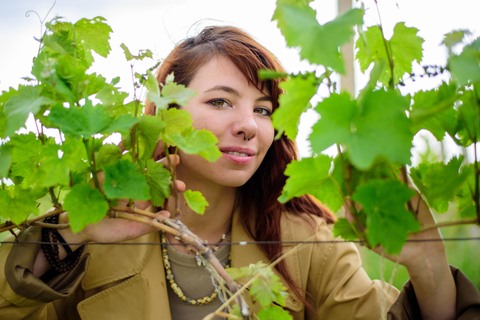 Yerevan: Wine Tasting and Vineyard Lunch at Voskeni Winery