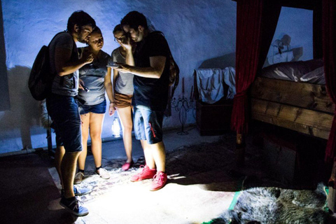 Beichlingen Palace: Exclusive tour with escape room-style puzzles