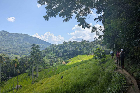 Kandy: Heeloya Village Tour with Lunch and Guide