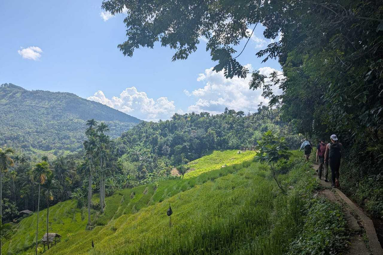 Kandy: Heeloya Village Tour with Lunch and Guide