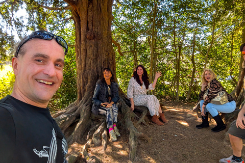 Passeios pela linha de metro de Londres