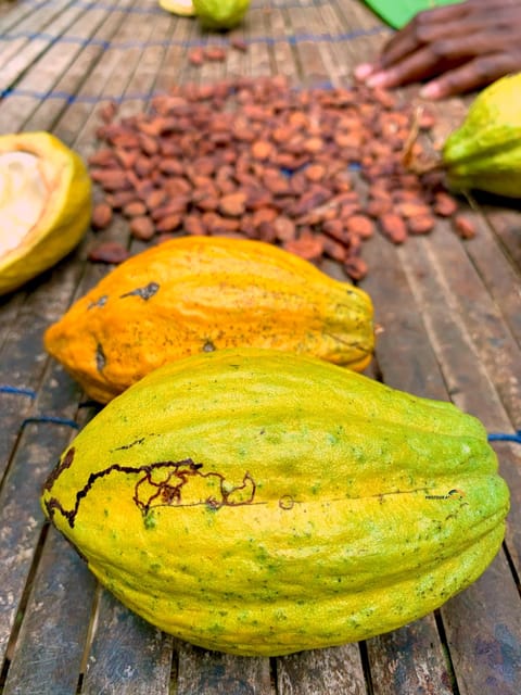 Nature Thrills | GetYourGuide