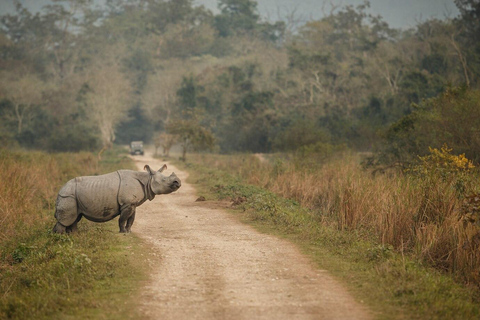 Passeio guiado de meio dia pelo Parque Nacional de Nairobi