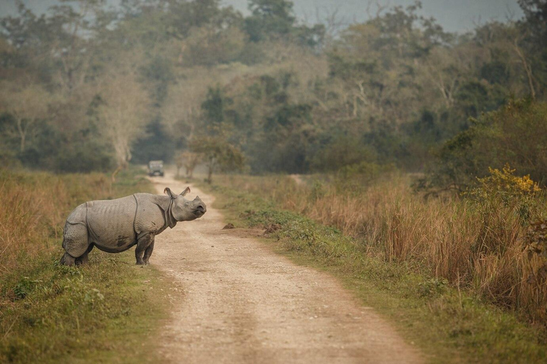 Safari guiado de medio día por el Parque Nacional de Nairobi