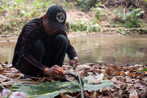 Luang Prabang: 1 Day Hike Hmong Village & Kuangsi Waterfall