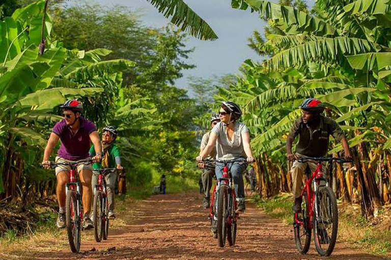 Majestic landscapes: A 5day Safari Adventure