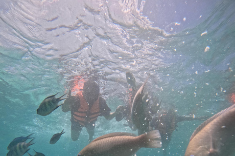 CEBU: Obserwacja rekinów wielorybich + Sumilon Sand Bar + wodospad Tumalog