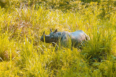 Chitwan: Jungle Safari with Wildlife & Cultural tour 3-Days