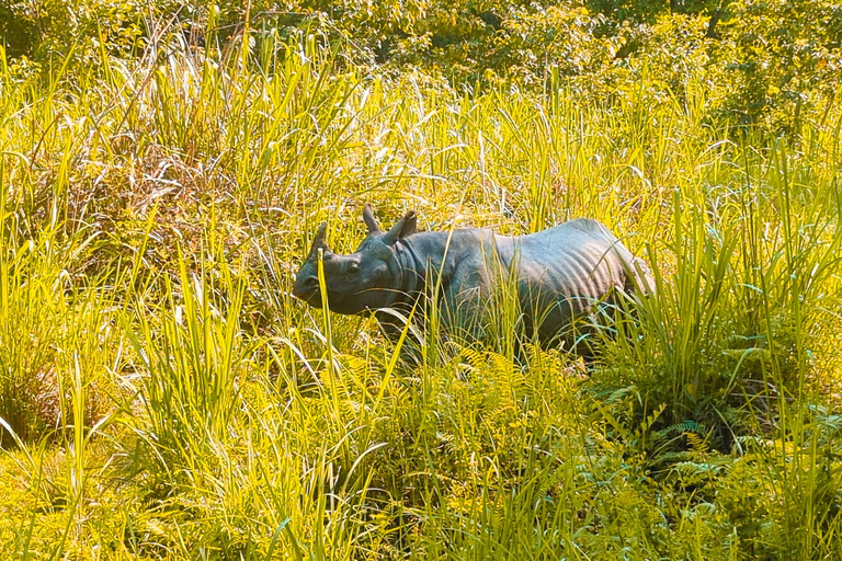 Chitwan: Jungle Safari with Wildlife & Cultural tour 3-Days
