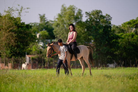 Siem Reap: Horseback Ride with Tour Guide at Phnom Krom (1 hour) Horseback Ride with Tour Guide