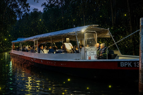 Kuala Lumpur: Fireflies, Blue Tears and Sunset Eagle Feeding
