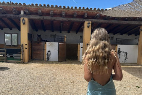 Oman-Salalah: Sunset Beach Horseback Ride with Hotel Pickup