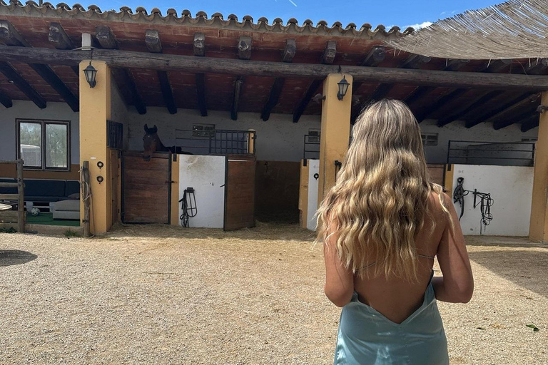 Oman-Salalah: Sunset Beach Horseback Ride with Hotel Pickup