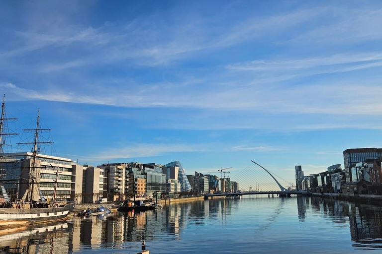 Dublin : Private Sightseeing Tour of Dublin City