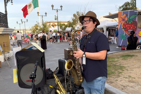 San José del Cabo: Thursday Night Art Walk Tour Private Art Walk with Artist, Musician, Author & Harper Lee!