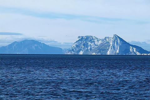 From Malaga: Exclusive Gibraltar – Local Guide, Small Groups