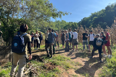 Chiang Rai: Jungle Adventure-Group Trekking & Bamboo Cooking