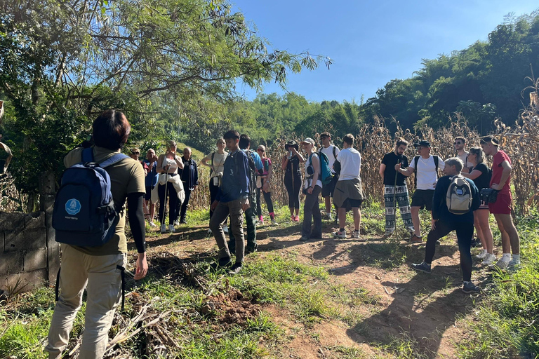 Chiang Rai: Jungle Adventure-Group Trekking & Bamboo Cooking