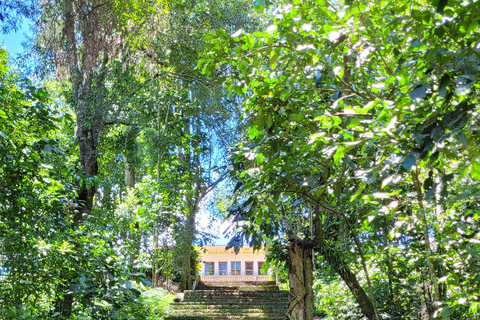 Iguazu Extreme Day: Sunrise, São João Trail & Macuco Safari