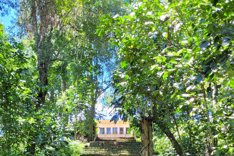 Iguazu Extreme Day: Sunrise, São João Trail & Macuco Safari