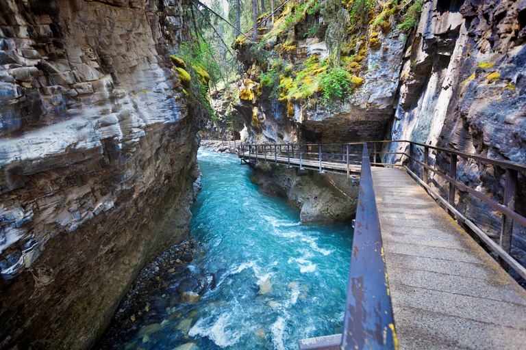 Explore 10 Montanhas Rochosas - Lagos, Picos e Cânions em um Dia!Explora as 10 Montanhas Rochosas - Lagos, Picos e Desfiladeiros num só dia!