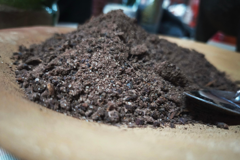 Oaxaca: Traditional Oaxacan Cooking Class Oaxaca: Traditional Oaxacan cooking class