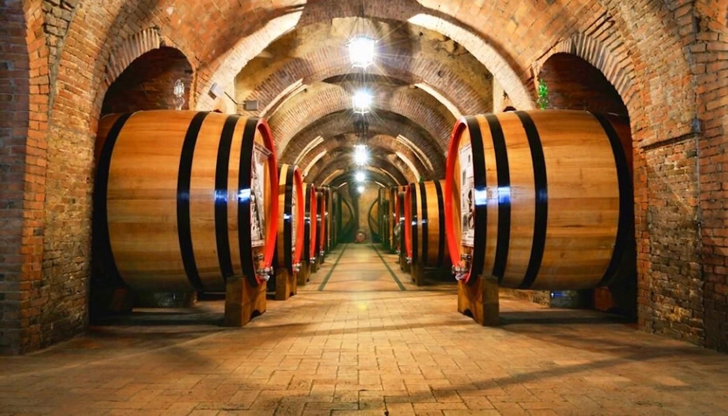 Undurraga Wein-Tour