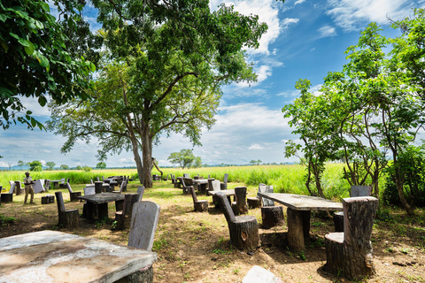 From Zanzibar: Best Day Safari Mikumi with flights and lunch