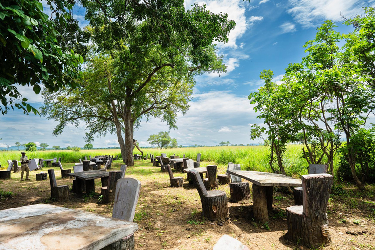 From Zanzibar: Best Day Safari Mikumi with flights and lunch