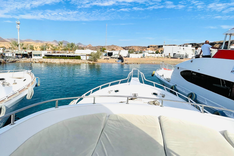 Sharm El Sheikh: Private Boat Trip Snorkeling & Diving